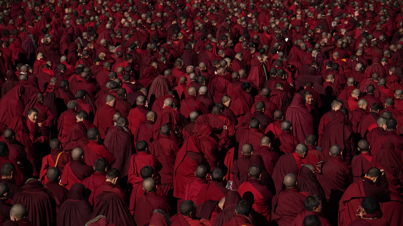 media/img/film/dark-red-forest.hero.0.webp