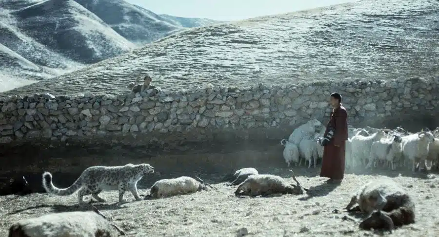 media/img/film/snow-leopard.hero.webp
